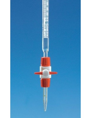 Byreta kompaktná s Schellbachovým pruhom