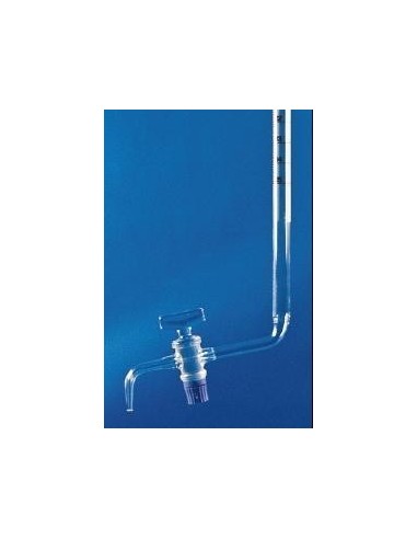 Byreta s Schellbachovým pruhom, tr. AS