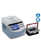 PCR termocyklér